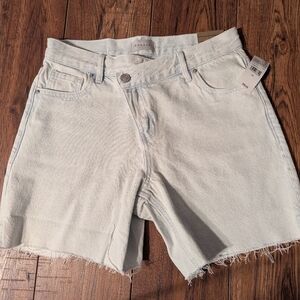 PacSun Highrise Relaxed Light Wash Jean Shorts Size 25